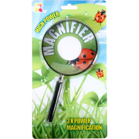 Large Magnifying Glass