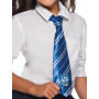 Ravenclaw Tie