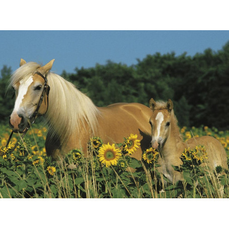 Ravensburger - Happy Horses Puzzle 200Pc