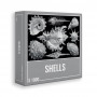 Cloudberries - Shells - 1000Pc Jigsaw Puzzle
