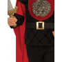 Little Knight Costume - Size 8-10 Yrs