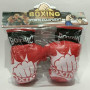 Boxing Gloves Set