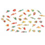 Scratch Europe - Game - Find-A-Fish-Colour Matching Game