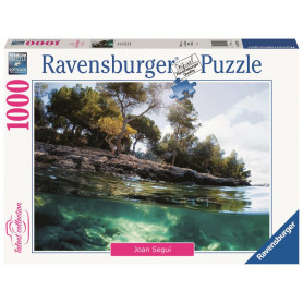 Ravensburger Points of View 1000Pc