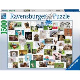 Ravensburger - Funny Animals Puzzle 1500Pc