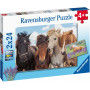 Ravensburger - Horse Friends Puzzle 2X24Pc