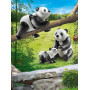 Playmobil Pandas with Cub