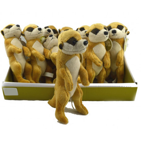 Cuddle Pals Meerkat 24cm - Assorted