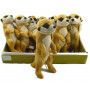 Cuddle Pals Meerkat 24cm - Assorted