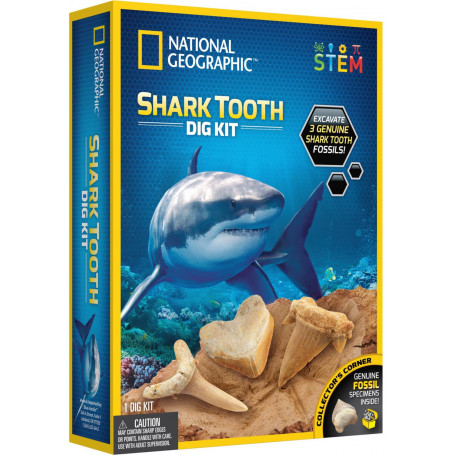 Shark Tooth Dig