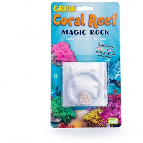 Magic Rock Coral Reef