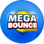 Wicked Mega Bounce 45cm