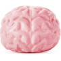 Giant Stress Ball - Brain