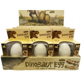 Fossil Dinosaur Egg