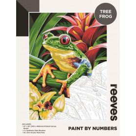 Reeves Paint By Number 12X16" Tree Frog