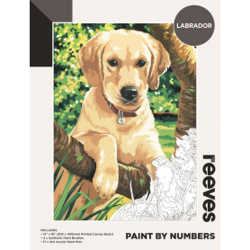 Reeves Paint By Number 12X16" Labrador