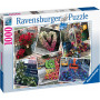 Ravensburger - Nyc Flower Flash Puzzle 1000Pc