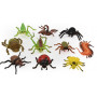 Insect World 10Pc - Assorted