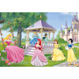 Rburg - Disney Magical Princesses 2x24pc