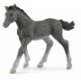 Schleich - Trakehner Foal