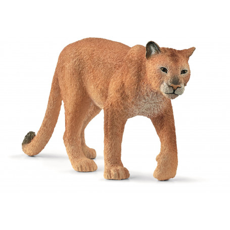 Schleich - Cougar