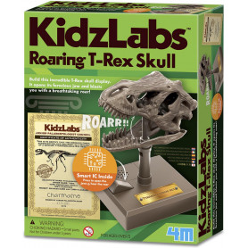 4M - KidzLabs - Roaring T-Rex Skull
