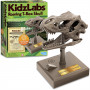 4M - KidzLabs - Roaring T-Rex Skull