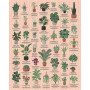 House Of Plants 1000 Piece Jigsaw Puzzle