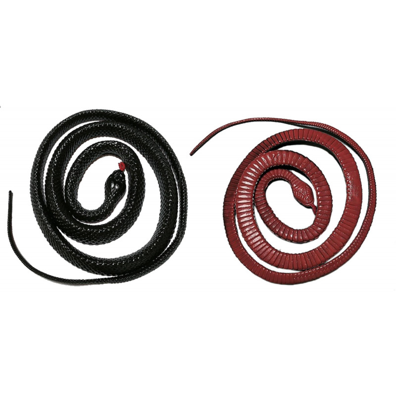 Red-Bellied Black Snake - Afterpay Available!