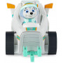 Paw Patrol Basic Vehicle - Everest Solid