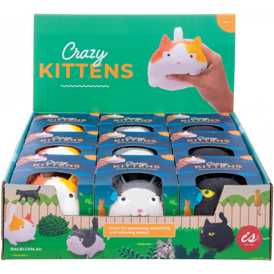 Crazy Kittens Assorted Afterpay Available!