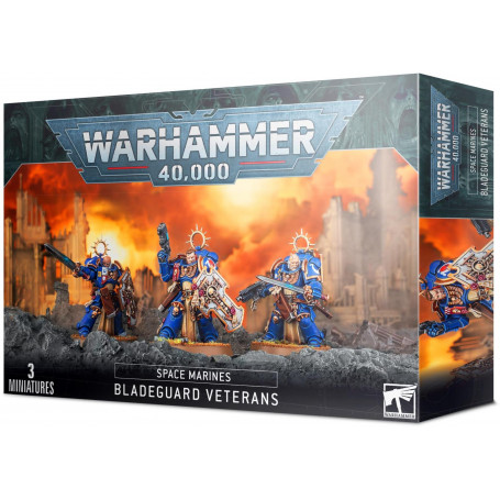 48-44 Space Marines Bladeguard Veterans