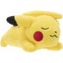 Pokemon 5" Sleeping Plush Assorted