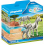 Playmobil - Zebras with Foal