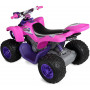 Yamaha Raptor ATV Ride On  Pink-Purple 12 Volt