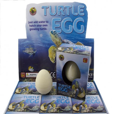 NFO Growing Pet Turtle Egg