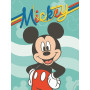 FSC Mix Bag Jumbo Disney Mickey