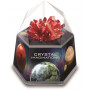 4M - Crystal Growing Kit - Space Gem - Red
