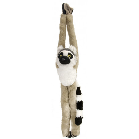 ring tailed lemur hanging