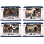 Twin Horse Set 4 Styles Assorted