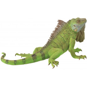 Iguana (Xl)