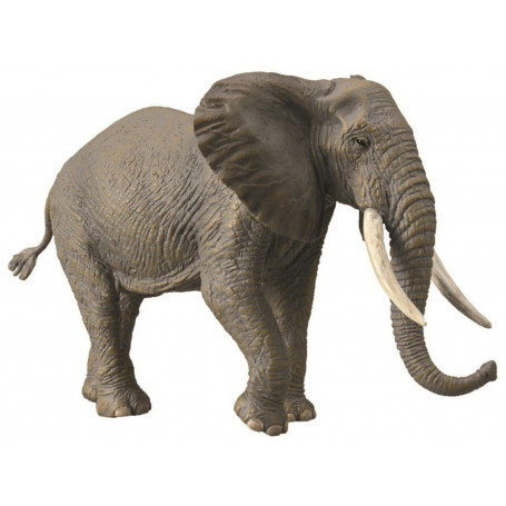 African Elephant (Xl)