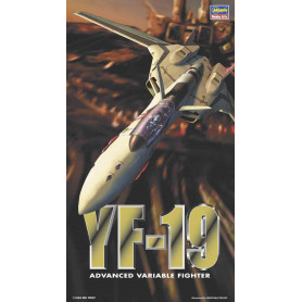 1/72 YF-19