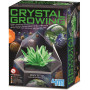 4M - Crystal Growing Kit - Space Gem - Green