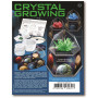 4M - Crystal Growing Kit - Space Gem - Green