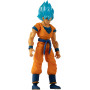 Dragon Ball DBS Evolve Super Saiyan Blue Goku