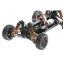 WOLF 2 1/10 4WD BUGGY
