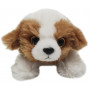 Petooties - 4" Dogs Mini Plush Assortment