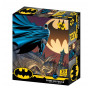 Super 3D 300Pc DC Comic Puzzle Assortment