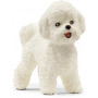 Schleich - Bichon Frise (Green)